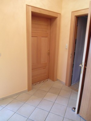 Innentuer Altbau 002